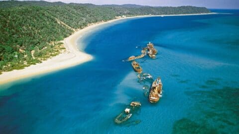 Aerial view of a coastline with several shipwrecks partially submerged in clear blue water, adjacent to a sandy beach and dense forest, showcasing the raw beauty of nature.