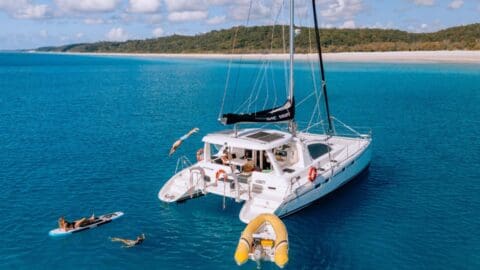 A catamaran is anchored in clear blue water. One person is diving off the boat, another is on a paddleboard, and a small inflatable dinghy is attached to the rear. The serene scene highlights ecotourism amidst a sandy beach and lush trees in the background, bringing you closer to nature.