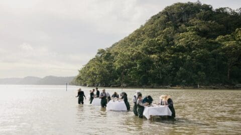 A group of people dressed in black stand at tables placed in shallow water near a forested hill, engaged in sustainable activities.