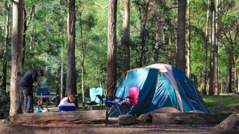 A person stands near a campfire, while another sits near a tent surrounded by camping chairs in the serene glades of Thunderbird Park on Tamborine Mountain.