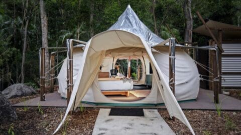 A round white tent with an open entrance revealing a bed inside is nestled in the glades of Thunderbird Park on Tamborine Mountain. The tent features a pointed, metallic top and wooden deck, blending seamlessly with the forested surroundings.