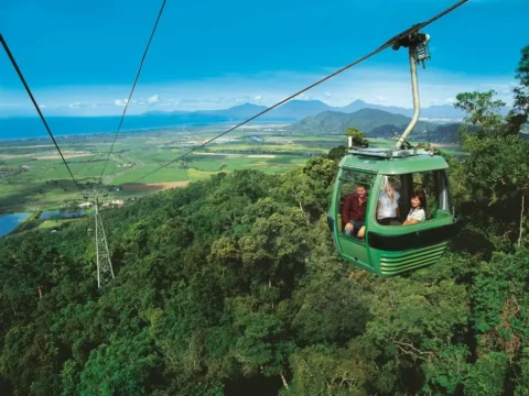 A green cable car with passengers from Doki Doki Tours travels above a lush forest, offering a breathtaking view of the valley, mountains, and ocean in the background.