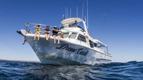 A group of people relax on the deck of a boat named "Draw Card" on calm blue waters under a clear sky, enjoying an ecotourism adventure.