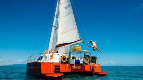 A Red Cat Adventures catamaran with people aboard is anchored in the sea; one person is captured mid-air while jumping off the boat into the water under a clear blue sky.