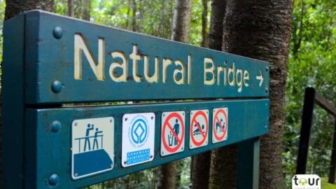 A wooden sign with "Natural Bridge" and a direction arrow, surrounded by trees. Below the text are icons for various rules and guidelines, ensuring your tour is enjoyable and safe.