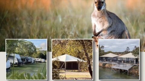 A collage featuring a kangaroo and three images: parked RVs, a large tent in a wooded area, and a lakeside structure with a canopy. The collage showcases unique accommodation options for an adventurous tour.