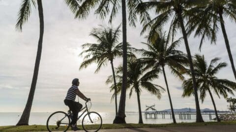 A person rides a bicycle along a path lined with palm trees by a beach. A pier extends into the water in the background under a cloudy sky.