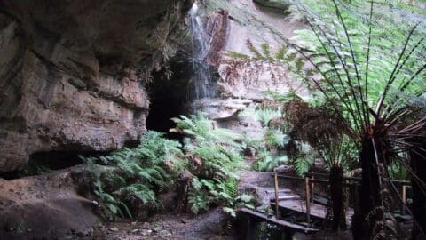 A rocky cave entrance with a small wooden bridge and lush ferns. Water cascades from above, creating a natural waterfall—an ideal spot for an ecotourism tour.