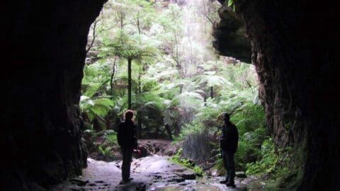 Two people standing inside the entrance of a cave look out at a lush forest, rich with ferns and overhanging trees. The scene perfectly captures the beauty of nature, offering an unparalleled outdoor experience that emphasizes sustainable living.