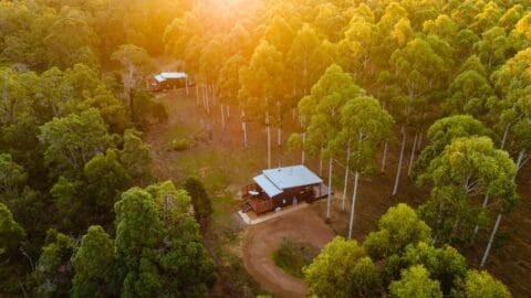 Aerial view of two small cabins nestled in a dense forest, with sunlight filtering through the trees—a perfect spot for an ecotourism tour.