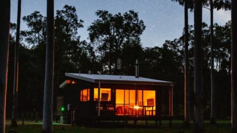 A small, modern cabin with large windows is illuminated warmly at night, surrounded by tall trees and under a star-filled sky—perfect for an eco-friendly nature getaway.