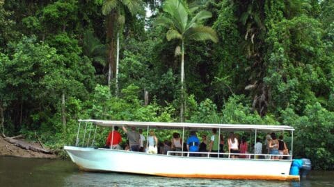 A group of people are seated on a white boat with a canopy, cruising along a river surrounded by dense tropical vegetation, enjoying an ecotourism adventure.