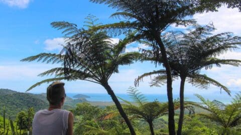 Person sitting and gazing at a tropical landscape featuring lush greenery, tall ferns, an expansive ocean, and a distant island under a clear blue sky. The serene setting invites thoughts of sustainable ecotourism.