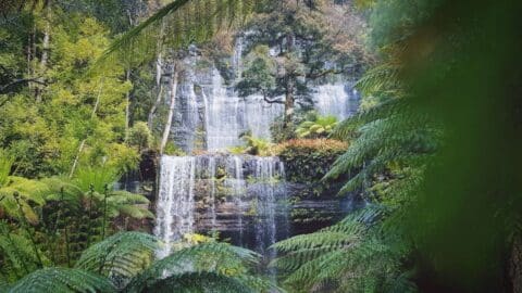 A multi-tiered waterfall cascades through a lush forest with ferns and trees surrounding it, offering a picturesque spot for visitors on a sustainable tour.