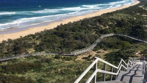 A wooden stairway leads down a grassy hill to a sandy beach with waves breaking onshore under a clear sky. Dense greenery surrounds the path, offering a picturesque view of nature for those taking a tour.