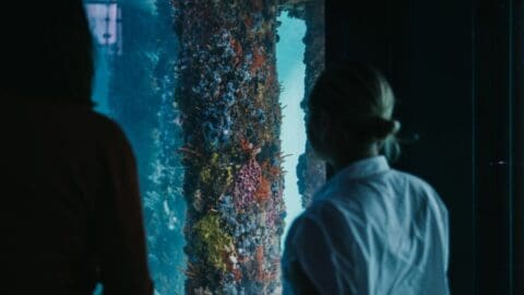 Two people stand in front of an aquarium, observing a pillar encrusted with colorful coral and marine life, reminiscent of the vibrant scenes beneath the Busselton Jetty.