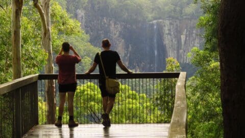 Two people stand on a wooden viewing platform, one taking photos, overlooking a sustainable forest with a waterfall in the background.