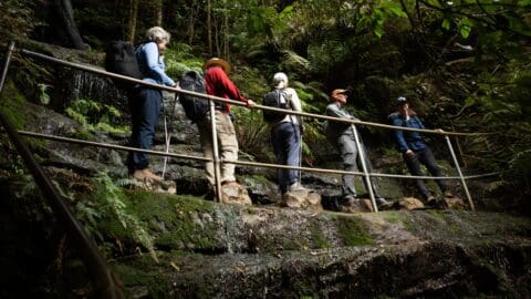 Five people standing in a line on a path on a rock.