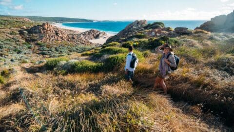 Two hikers with backpacks walk through grassy terrain overlooking a coastal landscape with rocky cliffs and a distant beach, embracing the principles of sustainable ecotourism.