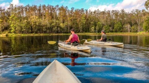 Three people in kayaks paddle on a calm lake, surrounded by trees and a blue sky with clouds. One kayak and its occupants are seen from behind, and the tip of a third kayak is visible in the foreground. The scene captures the serene beauty of nature.