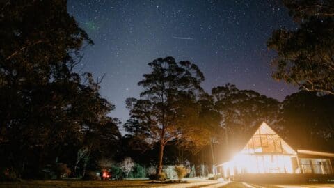 A well-lit house with large windows is surrounded by trees under a clear, starry night sky, offering an immersive nature experience.