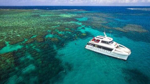 A white boat labeled "Wavelength" floats on clear blue waters near a coral reef, offering an ecotourism tour. People are snorkeling nearby.