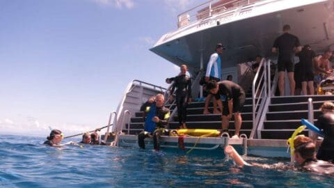 Divers in wetsuits are preparing to enter the water from a boat as part of an ecotourism tour, with some already in the ocean and others on the boat's platform.