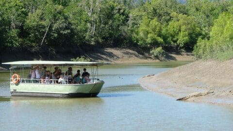 A small group of people on a covered boat tour observe a crocodile laying on a muddy riverbank, surrounded by dense greenery.