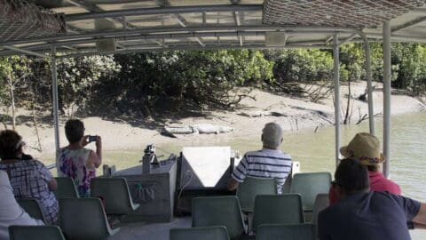 A group of ecotourists on a boat observe a crocodile resting on a muddy riverbank, surrounded by dense greenery.