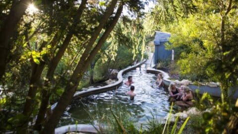 A group of people relax in a long, winding outdoor hot spring surrounded by lush greenery and trees, enjoying an ecotourism experience that promotes sustainability.