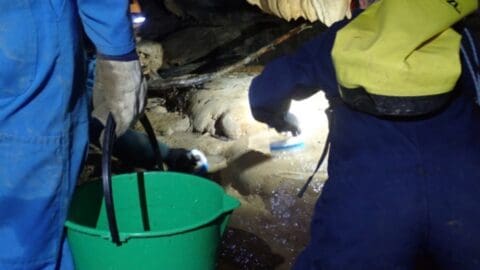 Two people in protective clothing clean a rocky surface in a cave using brushes and a sustainable bucket, highlighting the importance of nature preservation.