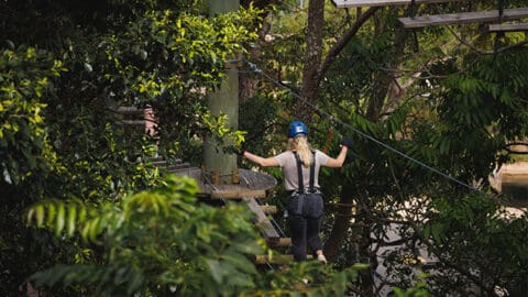 A person with a helmet and harness navigates a high ropes course among dense green foliage at Taronga, Australia's premier wildlife conservation hub.