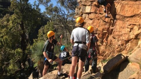Four people wearing helmets and climbing gear stand near a rocky cliff face. One person is scaling the rock while the others observe and assist. Trees and foliage are visible in the background, emphasizing their connection with nature during this adventurous tour.