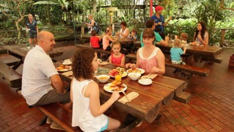 People sitting at wooden picnic tables, eating and chatting in an outdoor setting with lush greenery in the background, enjoying their time as part of a sustainable ecotourism tour.