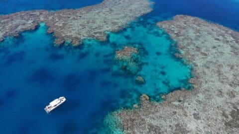Aerial view of a white boat floating near the Yongala shipwreck and large coral reef in clear, blue ocean waters. The reef creates various shades of turquoise and green in the water, offering an incredible diving experience.