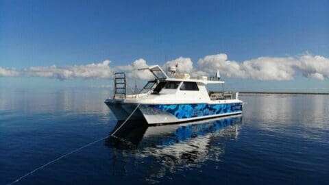 A white and blue boat is anchored on calm waters under a clear sky with scattered clouds. A ladder extends from the side, and the boat's reflection is visible in the water, ready for an exciting Yongala Dive trip.
