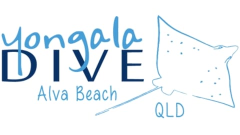 Logo of Yongala Dive at Alva Beach, QLD, featuring stylized text and a line drawing of a stingray, capturing the spirit of diving adventures.