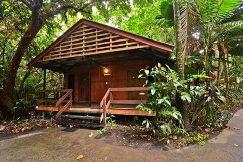 A wooden cabin with a small porch is surrounded by lush tropical vegetation in a forest setting, offering an ideal spot for ecotourism and nature enthusiasts.