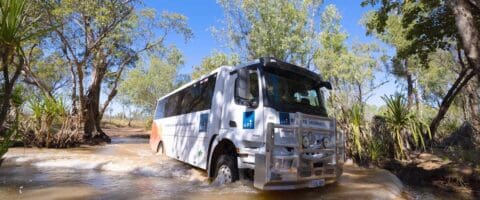 An ecotourism tour bus navigates a shallow, muddy creek surrounded by lush trees and vegetation on a bright day.
