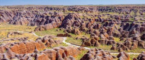 Aerial view of the Bungle Bungle Range in Purnululu National Park, featuring rugged, beehive-shaped rock formations. This stunning nature tour showcases one of Australia's most unique landscapes.