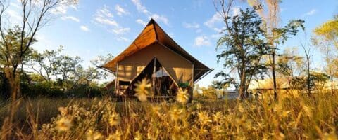 A tent is pitched in a grassy field surrounded by trees, offering serene accommodation under a partly cloudy sky.