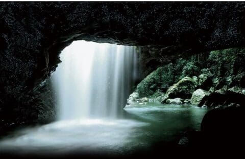 A cascade of water flows from the ceiling of a dark cave into a lush forest pool, with smooth rocks and foliage visible around the scene, highlighting the untouched beauty perfect for nature-focused ecotourism.