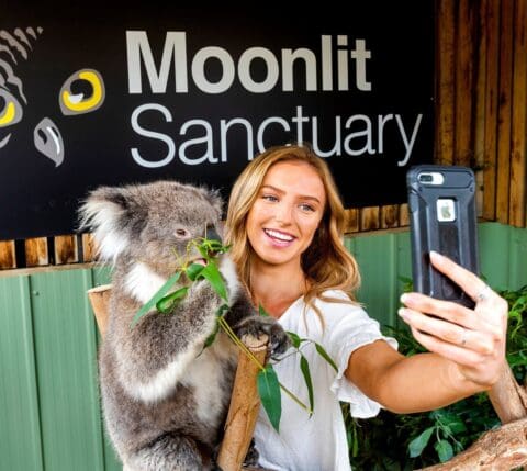 Lady taking a selfie with a koala