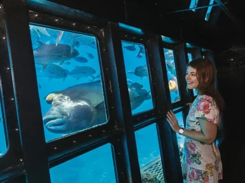 A woman in a floral dress observes fish through a large aquarium window, immersed in the beauty of nature.