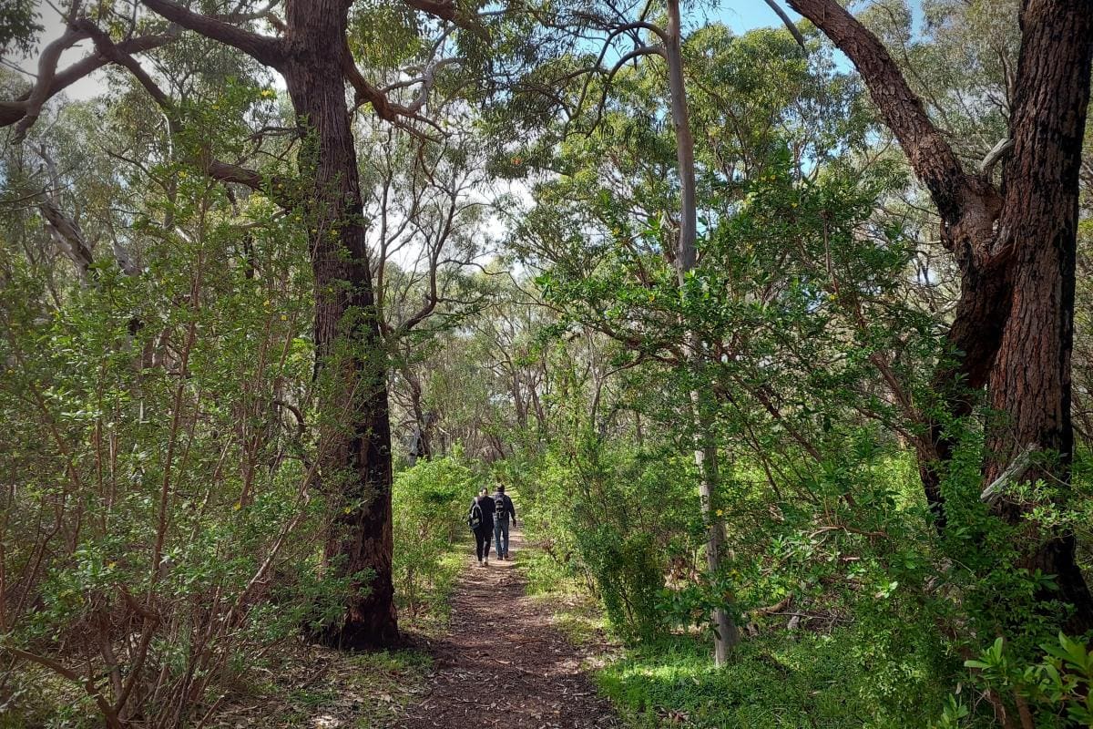Yanchep National Park Green Travel Guide
